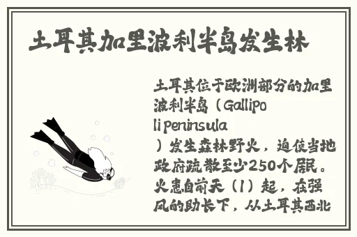 晚上偷偷看B站